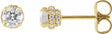 14K Yellow Gold 1/2 CTW Natural Diamond Hidden Halo-Style Stud Earrings
