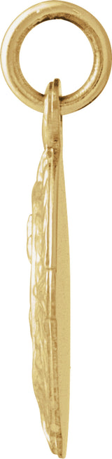 14K Yellow 12x9 mm Scapular Medal