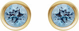 14K Yellow Gold Natural Aquamarine Bezel-Set Earrings