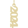 14K Yellow Petite 2024 Pendant