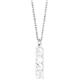 14K White Petite 2025 18" Necklace