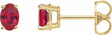14K Yellow Gold Lab-Grown Ruby Earrings