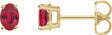 14K Yellow Natural Ruby Earrings