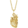 14K Yellow Gold Anatomical Heart 16-18" Necklace