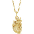 14K Yellow Anatomical Heart 16-18" Necklace