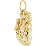 14K Yellow Anatomical Heart Pendant