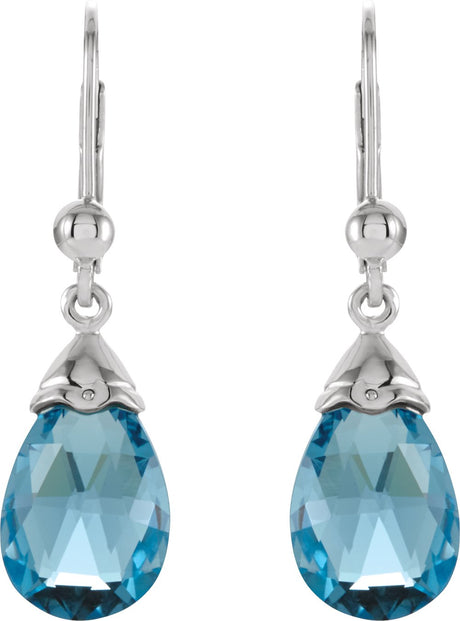 14K White Natural Swiss Blue Topaz Earrings