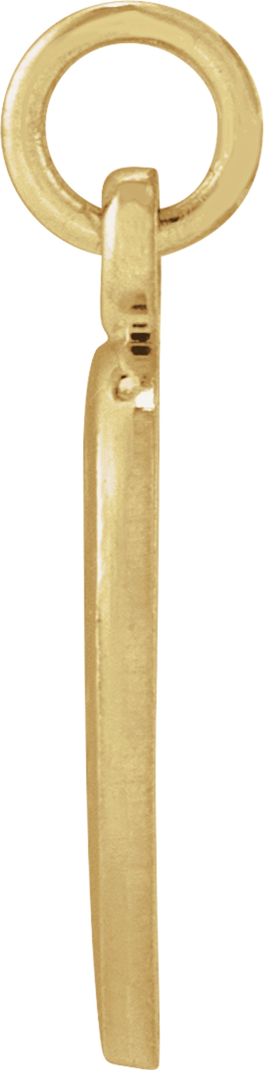 14K Yellow Gold 10.15x12 mm St. Francis of Assisi Medal