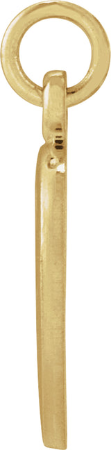 14K Yellow Gold 10.15x12 mm St. Francis of Assisi Medal