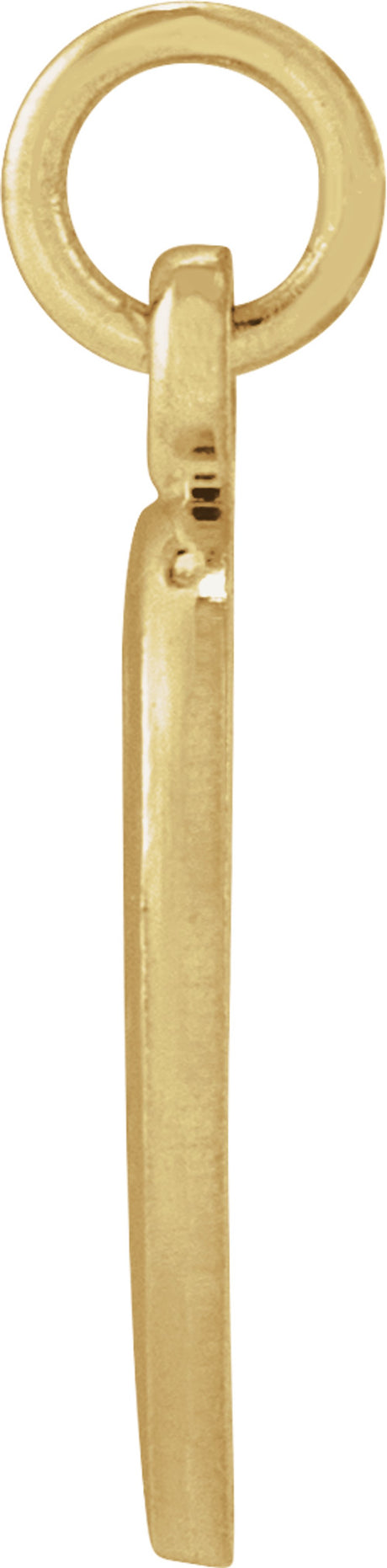 14K Yellow Gold 10.15x12 mm St. Francis of Assisi Medal