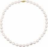 14K Yellow Cultured White Freshwater Pearl 18" Necklace