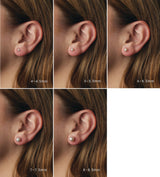 14K White Gold Cultured White Freshwater Pearl Earrings