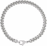 Stainless Steel 6.3 mm Curb 8" Chain