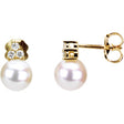 14K Yellow Gold Cultured White Freshwater Pearl & 1/10 CTW Natural Diamond Earrings