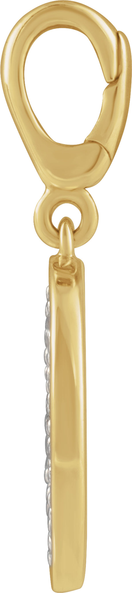 14K Yellow Gold 1/2 CTW Natural Diamond Pavé-Style Disc Charm/Pendant