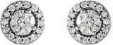 14K White 1/4 CTW Natural Diamond Halo-Style Earrings