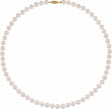 14K Yellow Gold Cultured White Akoya Pearl 20" Necklace