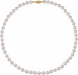 14K Yellow Gold Cultured White Akoya Pearl 16" Necklace