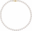 14K Yellow Gold Cultured White Akoya Pearl 18" Necklace