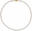 14K Yellow Gold Cultured White Akoya Pearl 16" Necklace