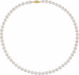 14K Yellow Gold-Filled Cultured White Freshwater Pearl 20" Necklace