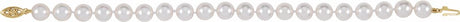 14K Yellow Gold Cultured White Akoya Pearl 7 1/2" Bracelet