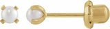 14K Yellow Gold Imitation Cream Pearl Inverness® Piercing Earrings 