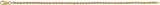 14K Yellow Gold 2.5 mm Rope 7" Chain 