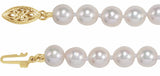 14K Yellow Gold Cultured White Akoya Pearl 20" Necklace