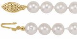 14K Yellow Gold-Filled Cultured White Freshwater Pearl 20" Necklace