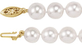 14K Yellow Gold Cultured White Akoya Pearl 16" Necklace