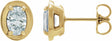 14K Yellow Gold 3/4 CTW Lab-Grown Diamond Stud Earrings