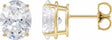 14K Yellow Gold 1/10 CTW Natural Diamond Earrings
