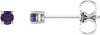 14K White Gold 2.5 mm Natural Amethyst Earrings