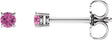 14K White 2.5 mm Natural Pink Sapphire Earrings