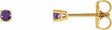 14K Yellow Gold 2.5 mm Natural Amethyst Earrings