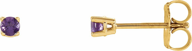 14K Yellow Gold 2.5 mm Natural Amethyst Earrings