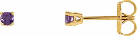 14K Yellow Gold 2.5 mm Natural Amethyst Earrings