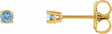 14K Yellow Gold 2.5 mm Natural Aquamarine Earrings