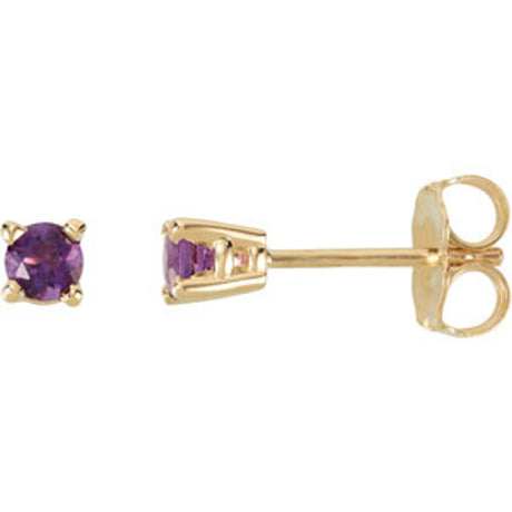 14K Yellow Gold 3 mm Natural Amethyst Earrings