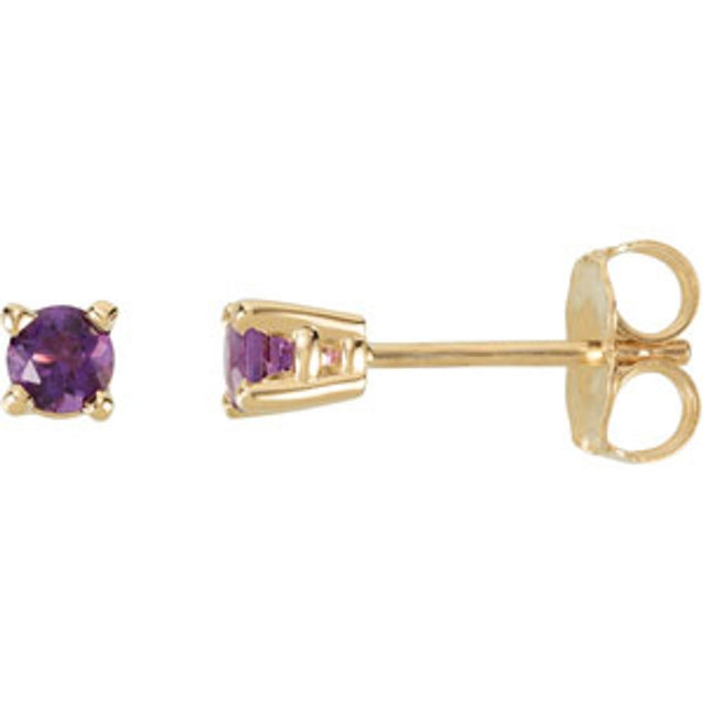14K Yellow Gold 3 mm Natural Amethyst Earrings