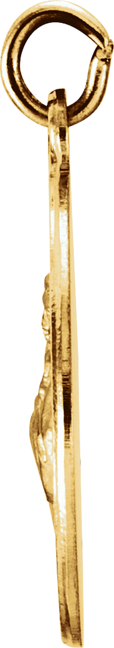 14K Yellow 15 mm Round St. Francis of Assisi Medal