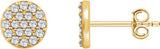 14K Yellow Gold 1/3 CTW Natural Diamond Cluster Earrings