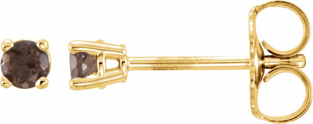 14K Yellow 2.5 mm Natural Smoky Quartz Earrings