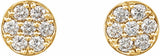 14K Yellow 3/8 CTW Natural Diamond Cluster Earrings