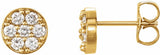 14K Yellow 3/8 CTW Natural Diamond Cluster Earrings