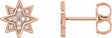 14K Rose Gold .08 CTW Natural Diamond Star Earrings