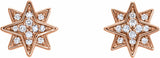 14K Rose Gold .08 CTW Natural Diamond Star Earrings