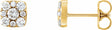14K Yellow 1/2 CTW Natural Diamond Cluster Earrings