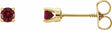 14K Yellow Gold Natural Ruby Youth Earrings